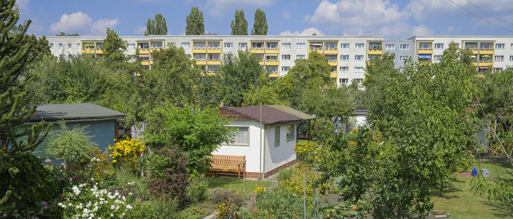 Sieht bewohnbar aus: ein Schrebergarten an der Koloniestraße in Berlin-Pankow.