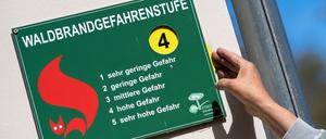 Die Waldbrandgefahr ist in Brandenburg zuletzt gestiegen. (Symbolbild)
