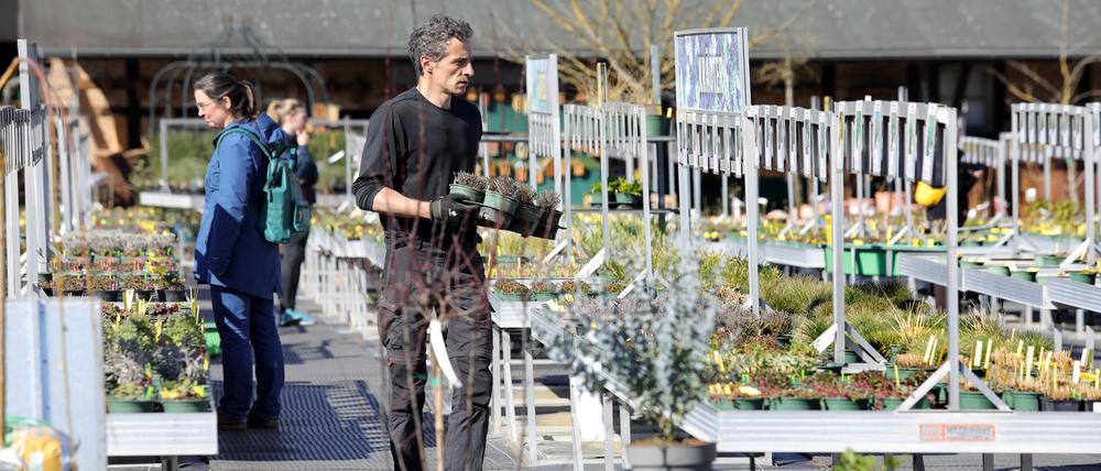Mitte März öffnet die Foerster Staudengärtnerei nach der Winterpause wieder mit Pflanztipps und neuem Internetauftritt.