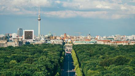 Berlin wirbt als Wissenschaftsstandort um von Trump frustrierte oder verschreckte US-Forschende.