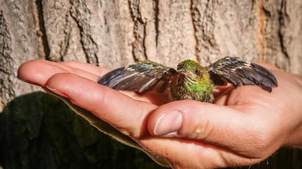 Wir haben es in der Hand!