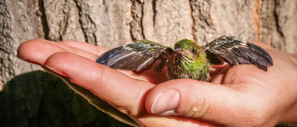 Wir haben es in der Hand!