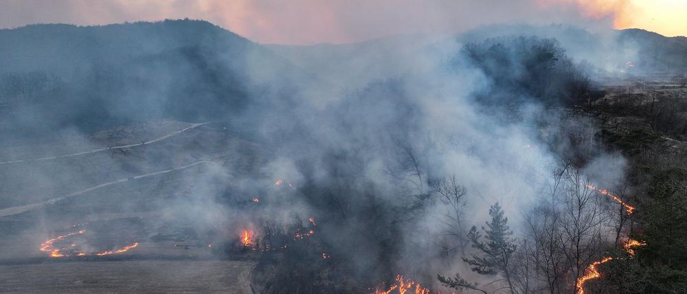 Mindestens vier Menschen sind beim Einsatz gegen Waldbrände in Südkorea ums Leben gekommen.