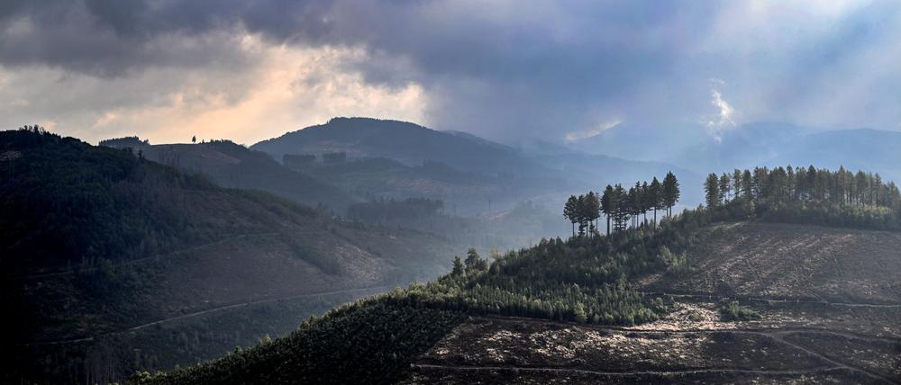 Das Sauerland ist besonders reich an Sagen und Legenden. Zu den mythischen Figuren der Region zählen die im Berg und unter der Erde lebenden „Hollen“ (Archivbild).