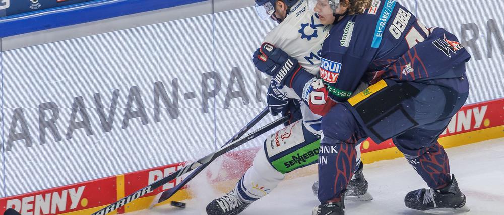 Die Eisbären Berlin wollen am Dienstag gegen Straubing die Qualifikation für das Halbfinale erkämpfen.