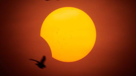 Eine partielle Sonnenfinsternis am 2. Oktober 2024 in São Paulo, Brasilien