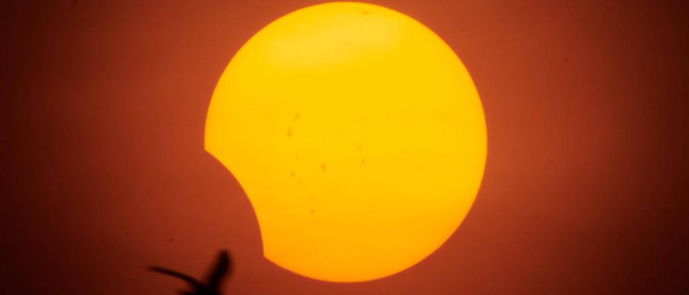 Eine partielle Sonnenfinsternis am 2. Oktober 2024 in São Paulo, Brasilien