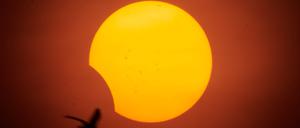 Eine partielle Sonnenfinsternis am 2. Oktober 2024 in São Paulo, Brasilien