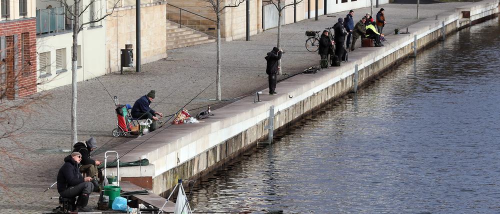Angeln an der Alte Fahrt neben der Langen Brücke in Potsdam.