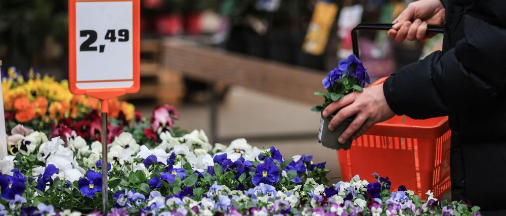Schlechtes Wetter im Mai und Juni verhagelte den Händlern 2024 das Geschäft.