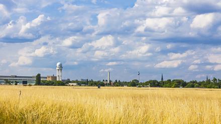 Das Tempelhofer Feld wird aktuell durch ein spezielles Gesetz vor einer Bebauung geschützt.