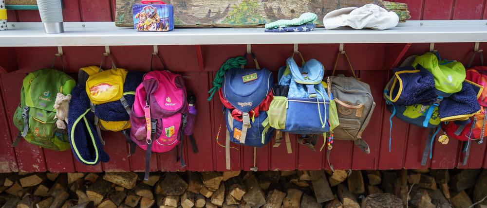 Laut Umfrage unter Kitaleitungen erschweren mehrere Faktoren eine Natur-Bildung der Jüngsten. (Symbolbild) 