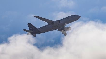 Ein Passagiermaschine ist im Flug zu sehen.