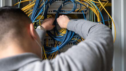 Eine Fachinformatik-Ausbildung ist in Berlin beliebt.