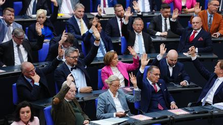 Die AfD-Fraktion im Bundestag.