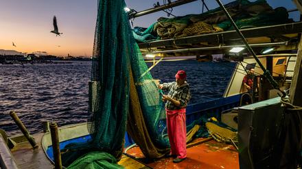 Schleppnetzfischer im Hafen von Molfetta – Forscher warnen vor den Folgen der Methode.
