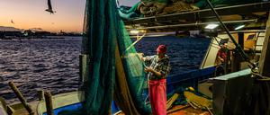 Schleppnetzfischer im Hafen von Molfetta – Forscher warnen vor den Folgen der Methode.