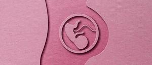 Eine Schwangerschaft lässt sich anhand bestimmter Hormone wie beta-HCG nachweisen.