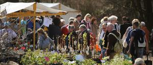 Am 3. und 4. April 2025 findet wieder der Berliner Staudenmarkt im Botanischen Garten in Berlin-Dahlem statt. 