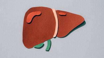 Vom Anfang einer neuen Phase in der Transplantationsmedizin?