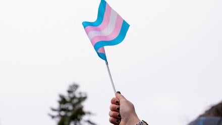 Die Flagge der trans Bewegung. 