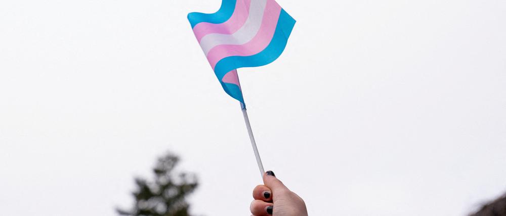 Die Flagge der trans Bewegung. 