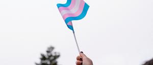 Die Flagge der trans Bewegung.