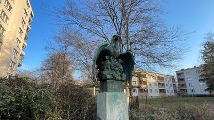 Adlerhorst mit Gelege.