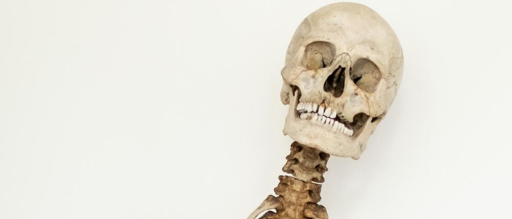 Das Skelett des berühmten Räubers „Schinderhannes“ ist, dank Unterstützung eines lebenden Verwandten, jetzt zweifelsfrei identifiziert. 