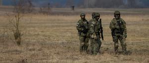 Polnische Grenzsoldaten an der Grenze zu Belarus.