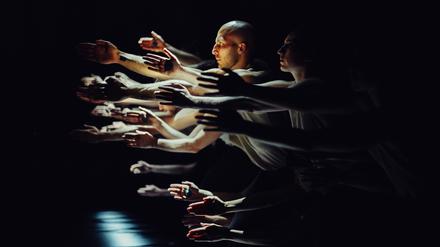 Das Nederlands Dans Theater mit „Figures in Extinction“