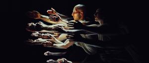 Das Nederlands Dans Theater mit „Figures in Extinction“