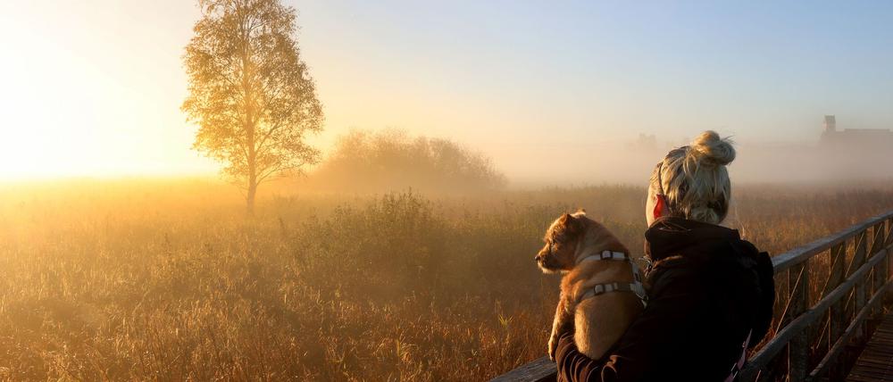 Der physiologische Tageszyklus des Menschen orientiert sich am Sonnenaufgang. (Archivbild)