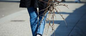 Der Frühling zeigt sich in Berlin und Brandenburg am Wochenende von seiner kühlen Seite. (Symbolbild) 