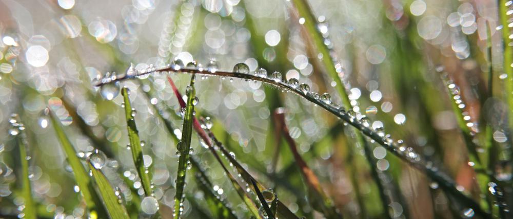 Für das Wochenende ist wechselhaftes Wetter angekündigt.