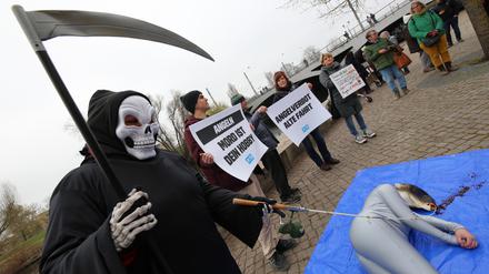 Die Tierschutzorganisation Peta fordert ein Angelverbot an der Alten Fahrt.