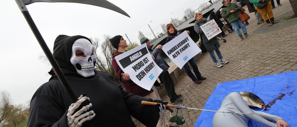 Die Tierschutzorganisation Peta fordert ein Angelverbot an der Alten Fahrt.