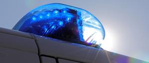 Die Polizei in Potsdam stellte zwei Randalierer.