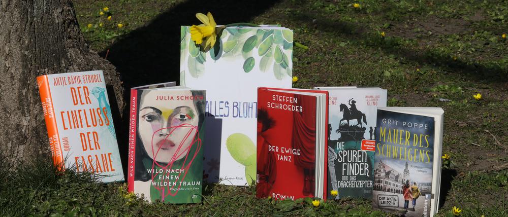 Wo die Literatur blüht. Sechs Neuerscheinungen aus Potsdam.
