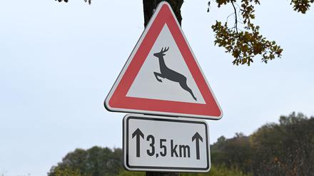Das Reh starb bei dem Unfall. (Symbolbild)