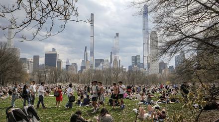 Im Central Park ist es schön grün, andernorts ist manches betongrau.