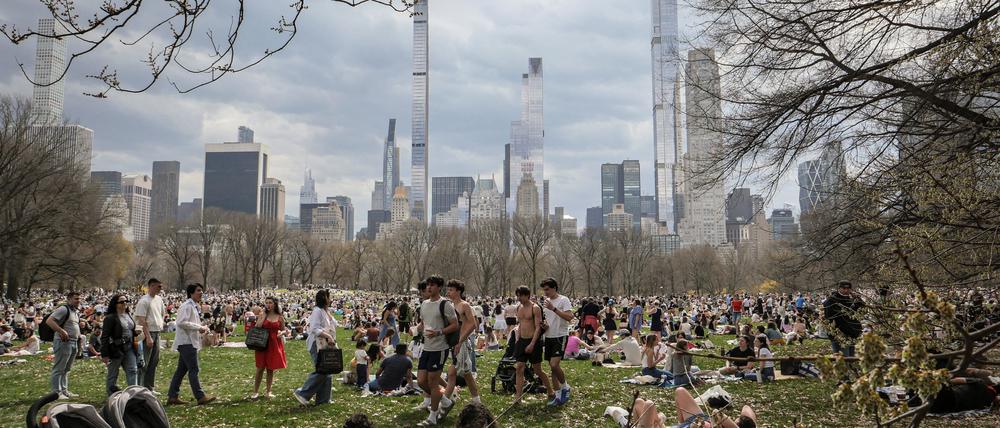 Im Central Park ist es schön grün, andernorts ist manches betongrau.