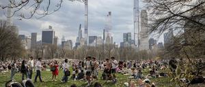 Im Central Park ist es schön grün, andernorts ist manches betongrau.