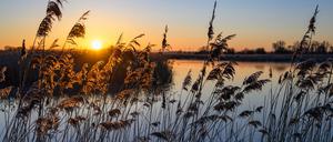 In Berlin und Brandenburg fiel mit 10 beziehungsweise 15 Litern pro Quadratmeter sehr wenig Regen. Normal wären laut DWD 37 beziehungsweise 36 Liter pro Quadratmeter. (Symbolbild)