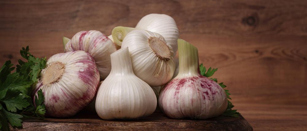 Zutat mit Nebenwirkungen. Zu Knoblauchgerichten sollte man möglichst eine Alternative anbieten.