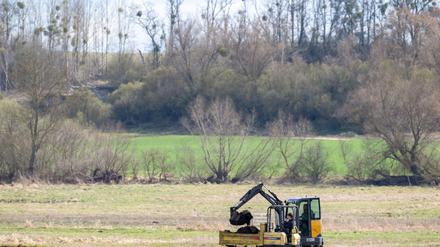 Flächen im Sernitz-Moor bei Angermünde in der Uckermark sollen wiedervernässt werden. 