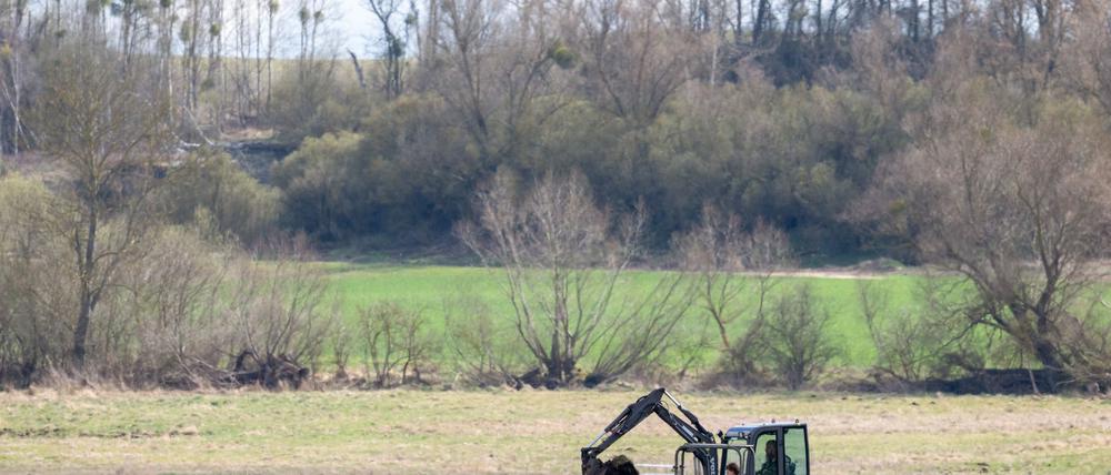 Flächen im Sernitz-Moor bei Angermünde in der Uckermark sollen wiedervernässt werden.