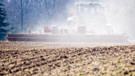 Ein Traktor bereitet Ende März in Mecklenburg-Vorpommern die Flächen für die Aussaat vor. Ausbleibender Regen und starke Winde, die den Boden austrocknen, machen den Landwirten in Norddeutschland zunehmend zu schaffen.