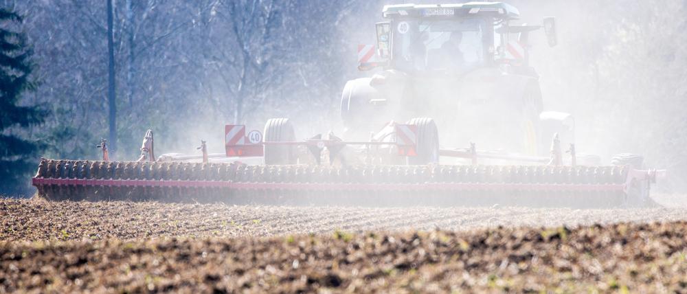 Ein Traktor bereitet Ende März in Mecklenburg-Vorpommern die Flächen für die Aussaat vor. Ausbleibender Regen und starke Winde, die den Boden austrocknen, machen den Landwirten in Norddeutschland zunehmend zu schaffen.