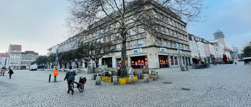 Die Platane ist ein Wahrzeichen der Altstadt Spandau.